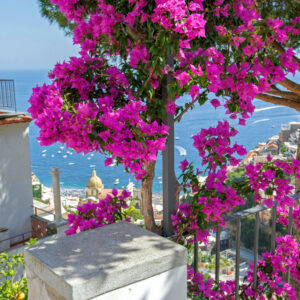 Villa Field Positano